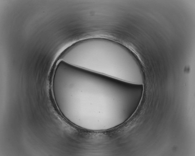 X0000090921024200707301049