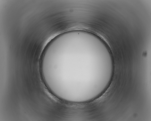 X0000090921026200707301049