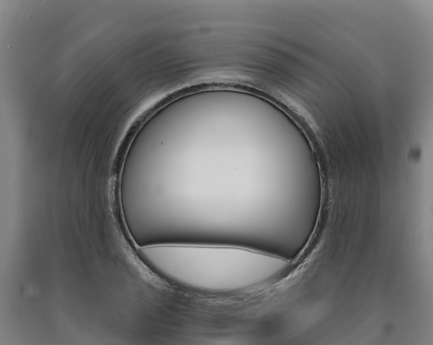 X0000090921029200707301049