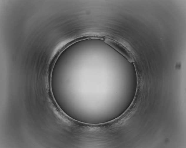 X0000090921030200707301049