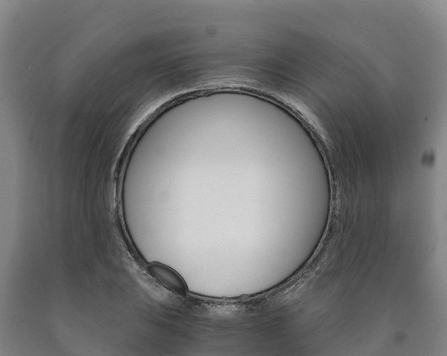 X0000090921031200707301049