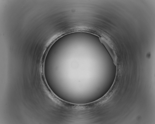 X0000090921034200707301049