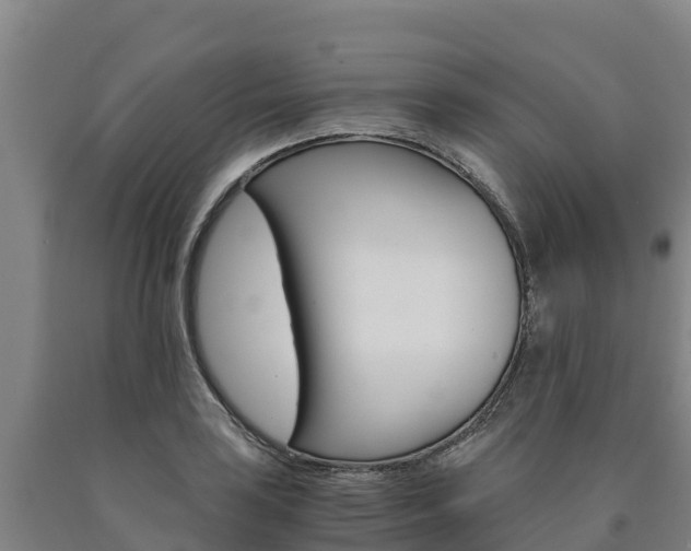 X0000090921035200707301049