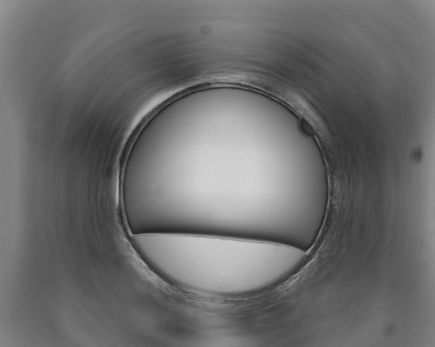 X0000090921036200707301049