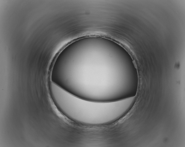 X0000090921038200707301049