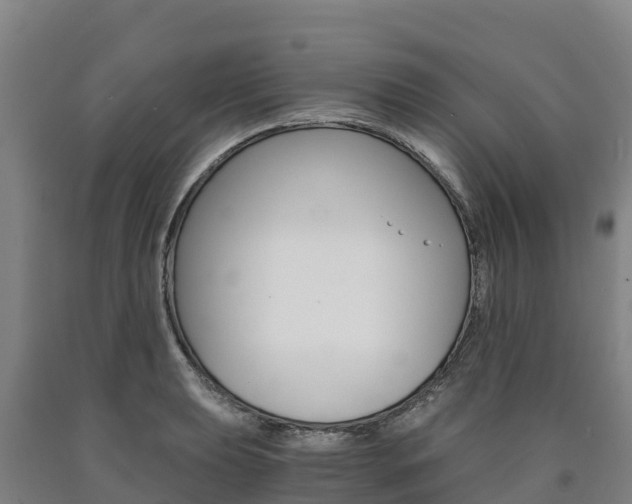 X0000090921039200707301049