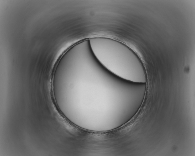 X0000090921040200707301049