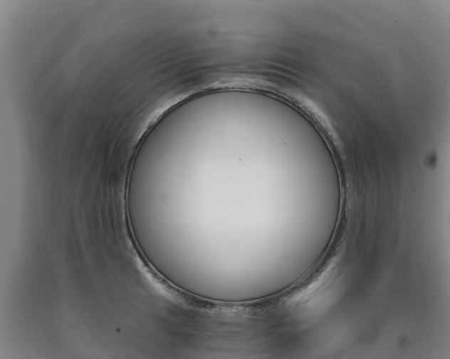 X0000090921041200707301049