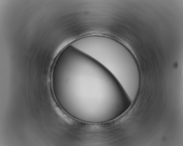 X0000090921042200707301049