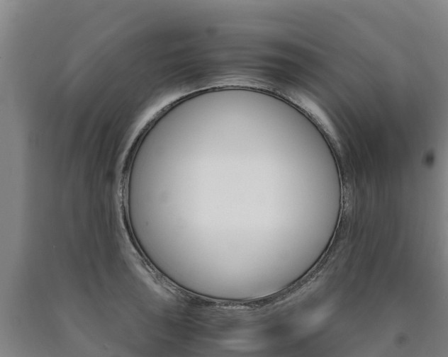 X0000090921043200707301049