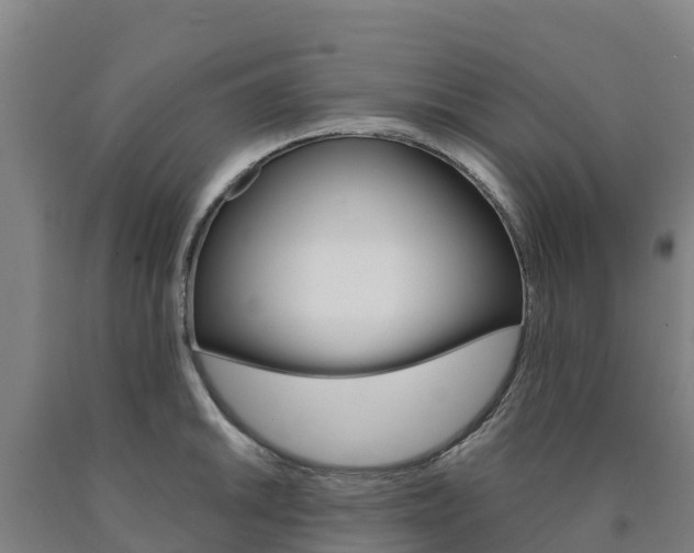 X0000090921046200707301049