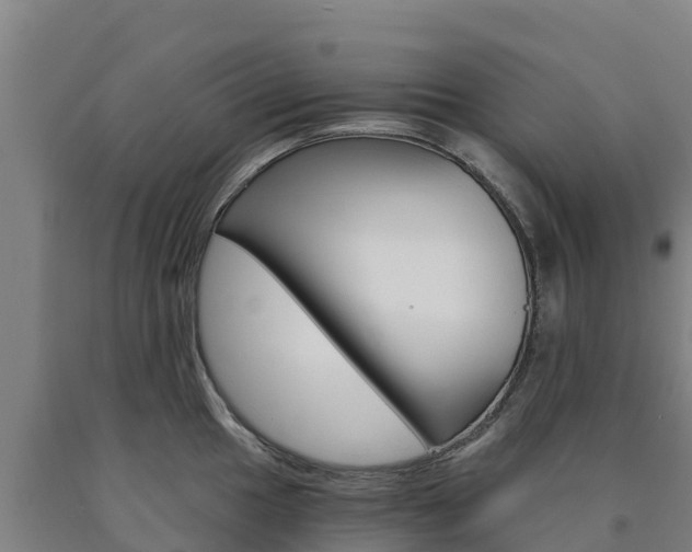 X0000090921049200707301049