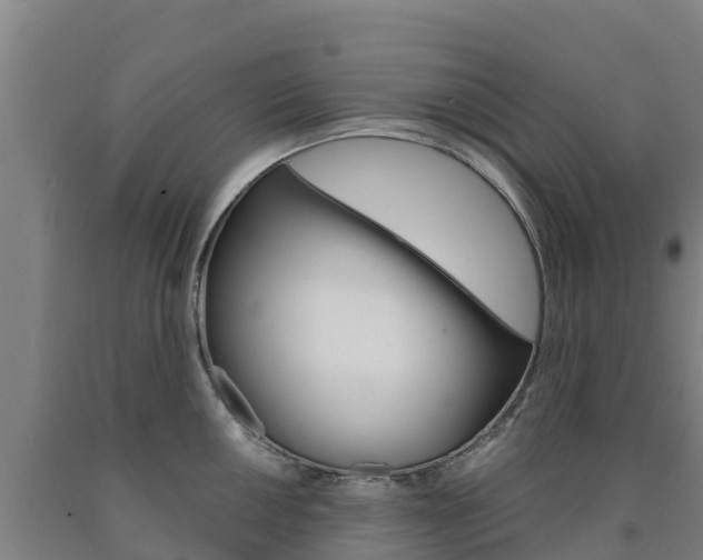 X0000090921050200707301049