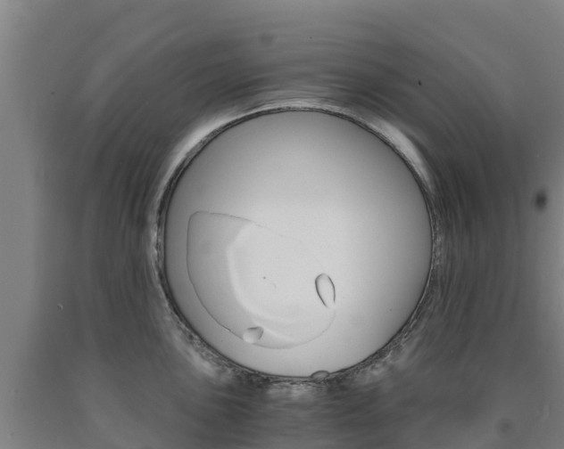 X0000090921051200707301049