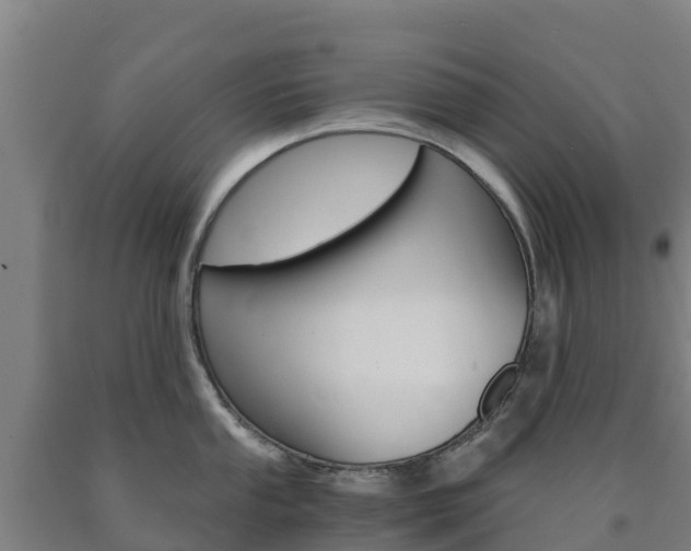 X0000090921053200707301049