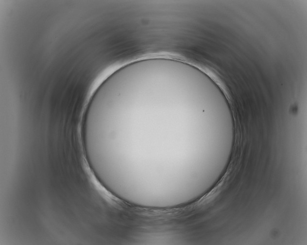 X0000090921054200707301049