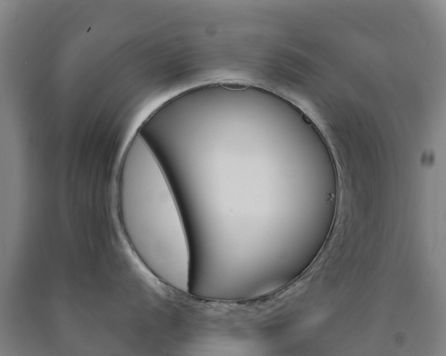 X0000090921056200707301049