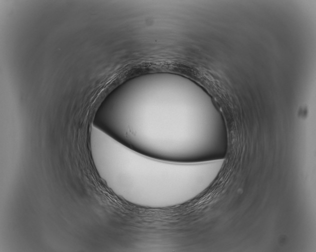 X0000090921057200707301049