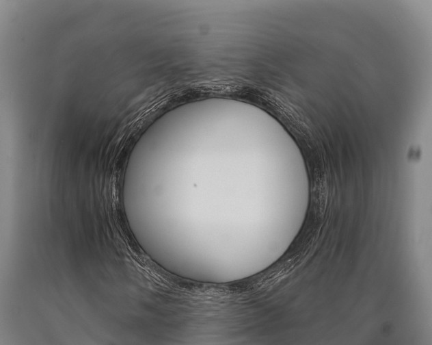 X0000090921058200707301049