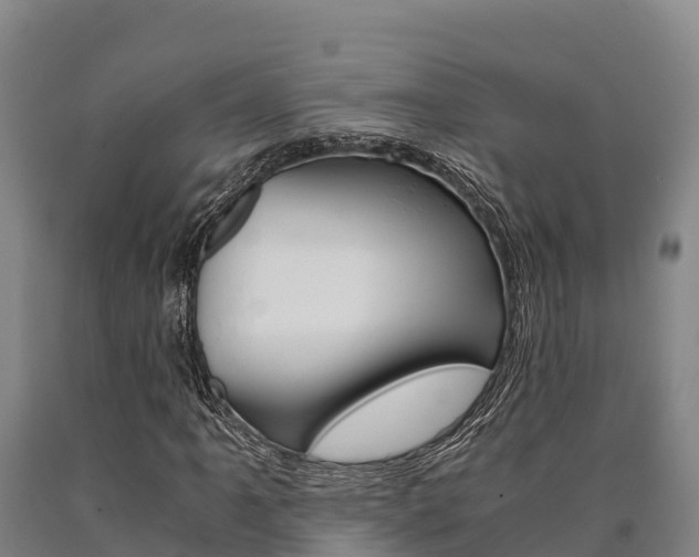 X0000090921061200707301049