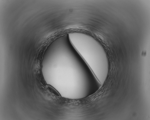 X0000090921062200707301049