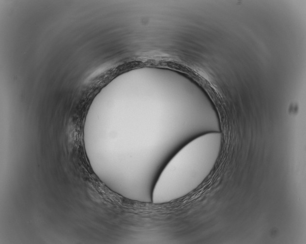 X0000090921063200707301049