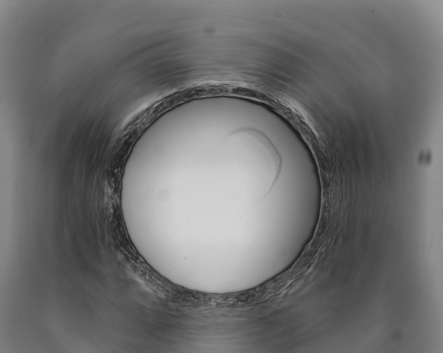 X0000090921064200707301049