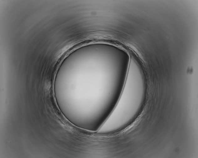 X0000090921065200707301049