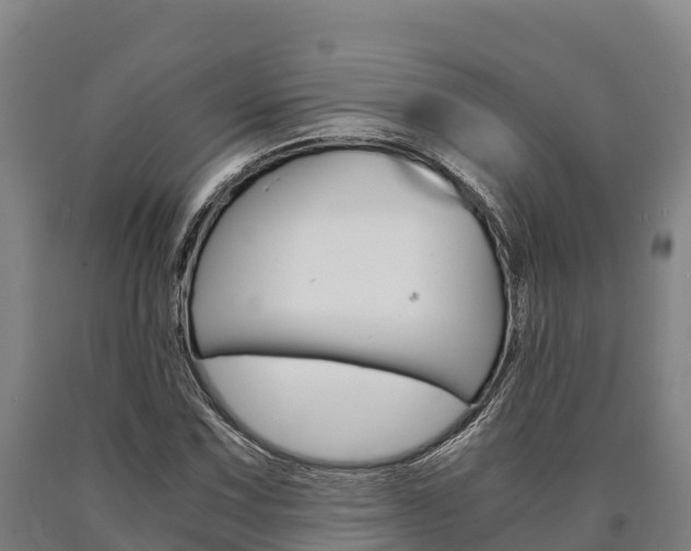 X0000090921067200707301049