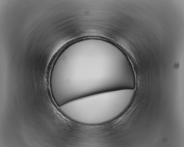 X0000090921068200707301049
