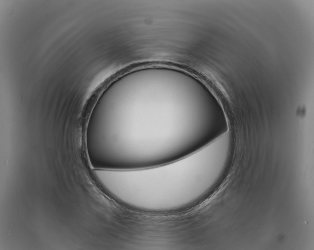 X0000090921069200707301049