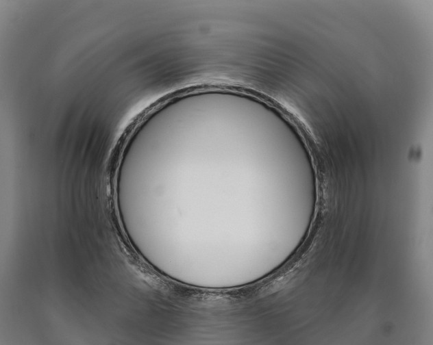 X0000090921070200707301049