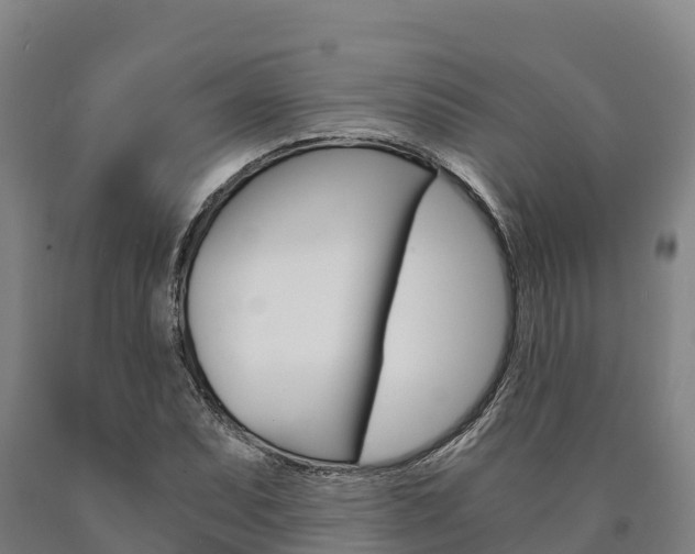 X0000090921071200707301049