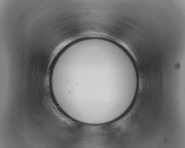 X0000090921074200707301049