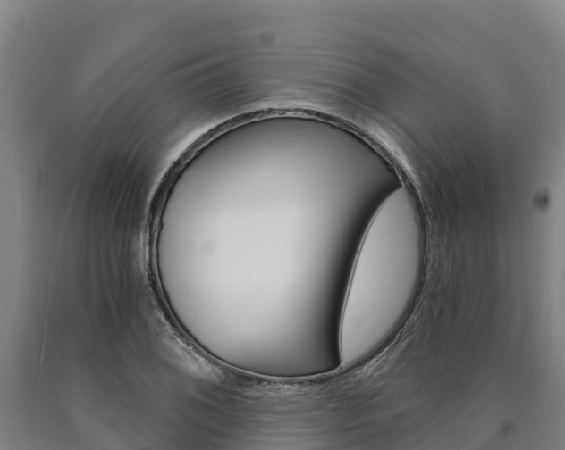 X0000090921076200707301049