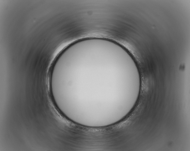 X0000090921078200707301049