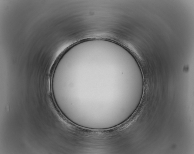 X0000090921079200707301049