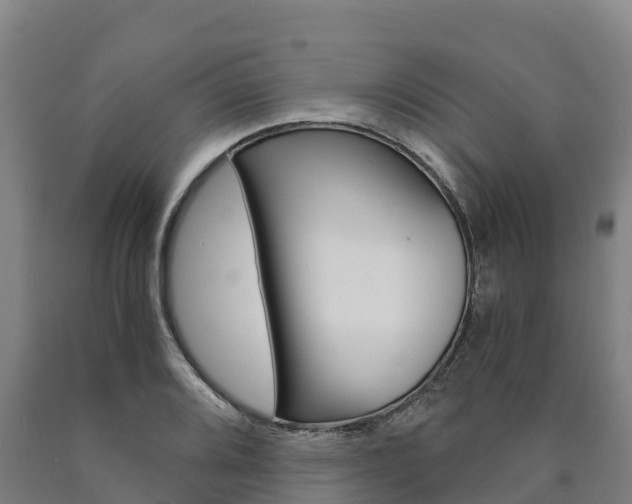 X0000090921080200707301049