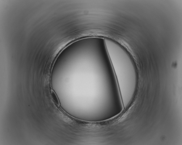 X0000090921081200707301049