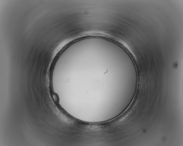 X0000090921082200707301049