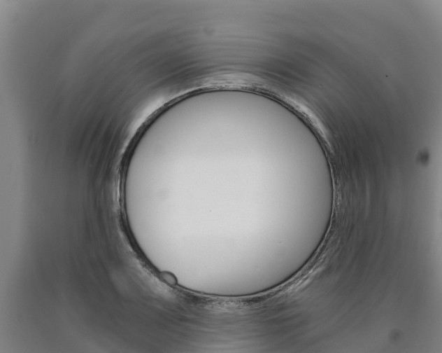 X0000090921083200707301048