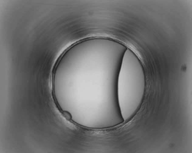 X0000090921084200707301048