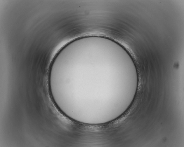X0000090921086200707301048