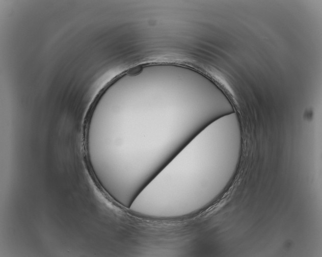 X0000090921087200707301048