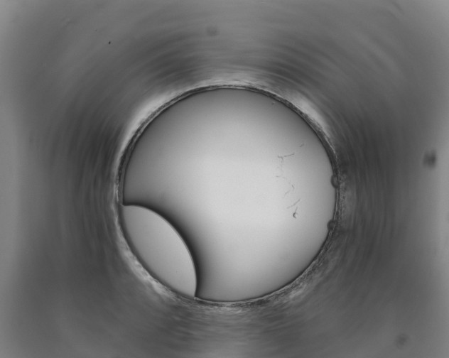 X0000090921088200707301048