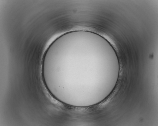 X0000090921094200707301048