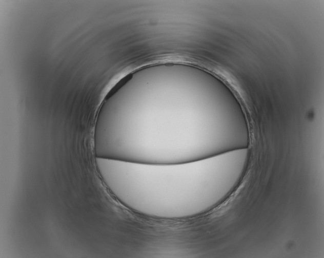 X0000090921097200707301048