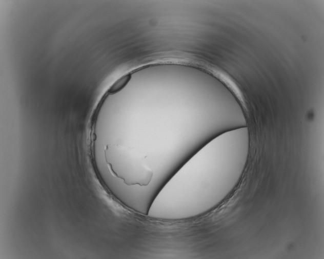 X0000090921099200707301048