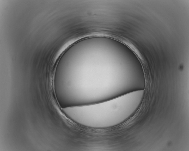 X0000090921101200707301048