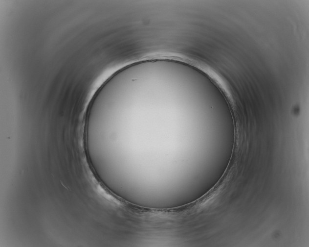 X0000090921102200707301048